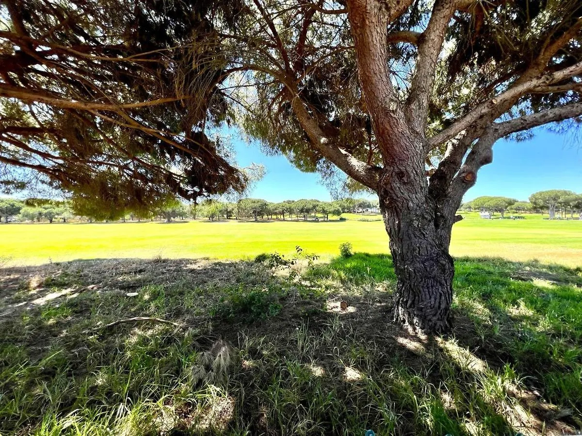 Vilamoura Amazing Golf Villa With Pool By Homing